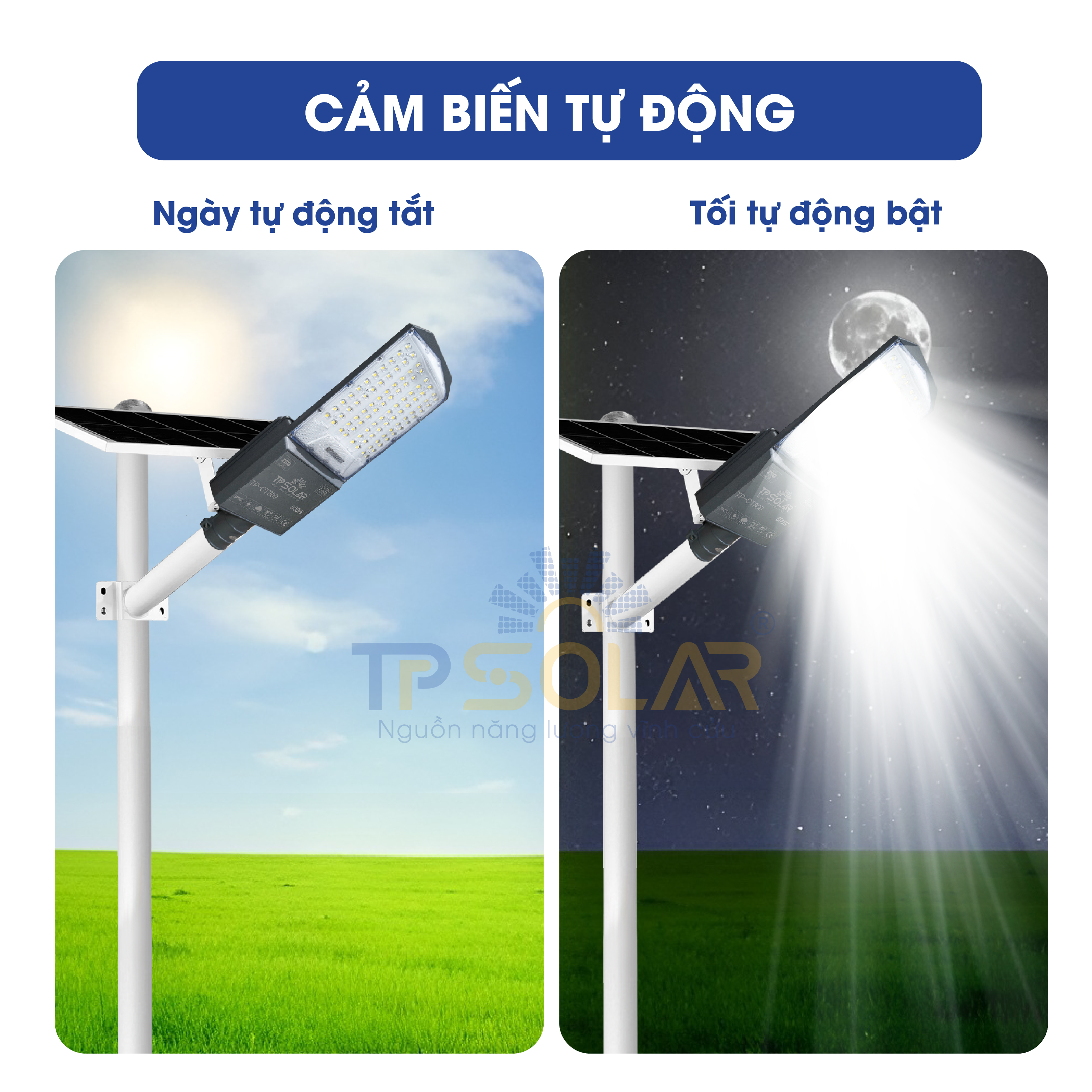 Đèn phi thuyền mắt ngọc cao cấp năng lượng mặt trời (TP-CT600 / TP-CT1000)_thumbnail_4