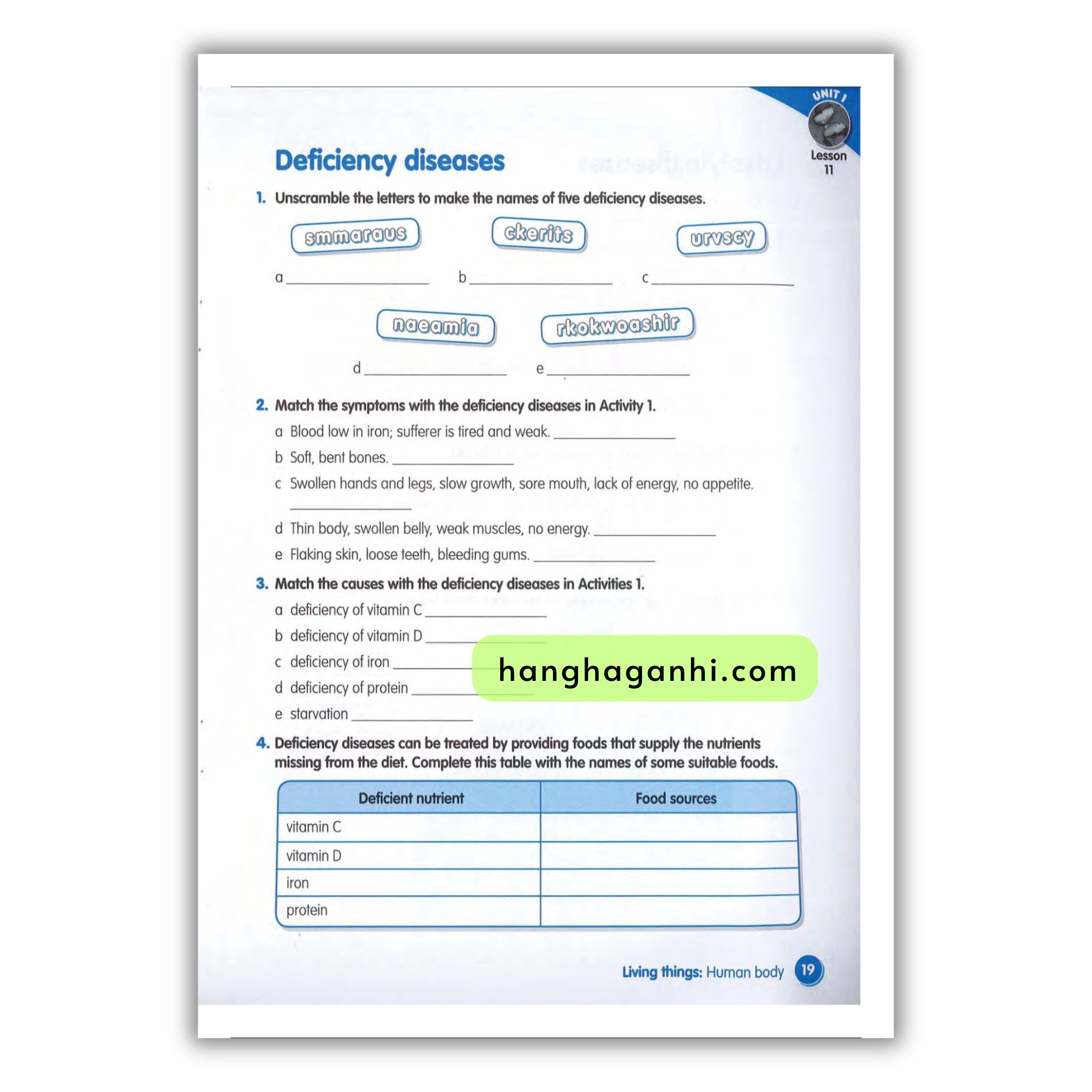 Macmillan Science 6 Workbook_thumbnail_10