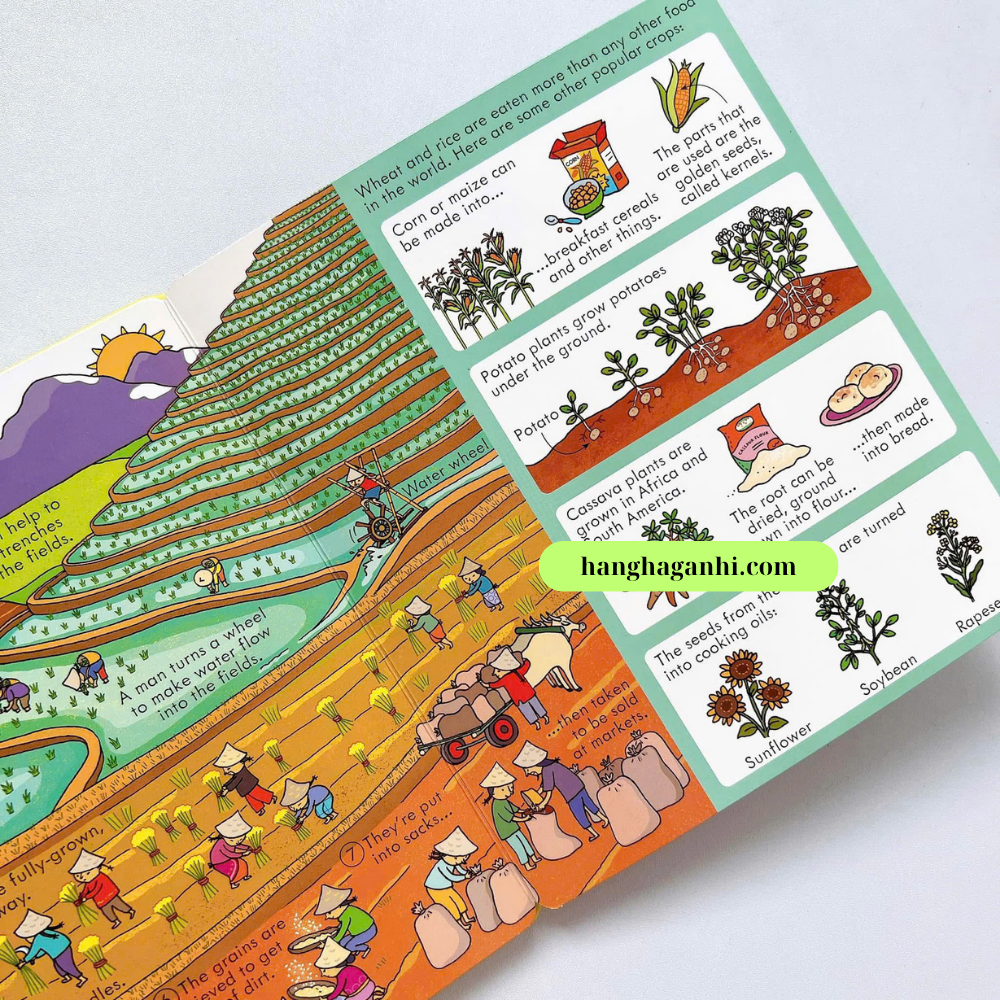 Sách lật mở Usborne Look inside Food_thumbnail_7