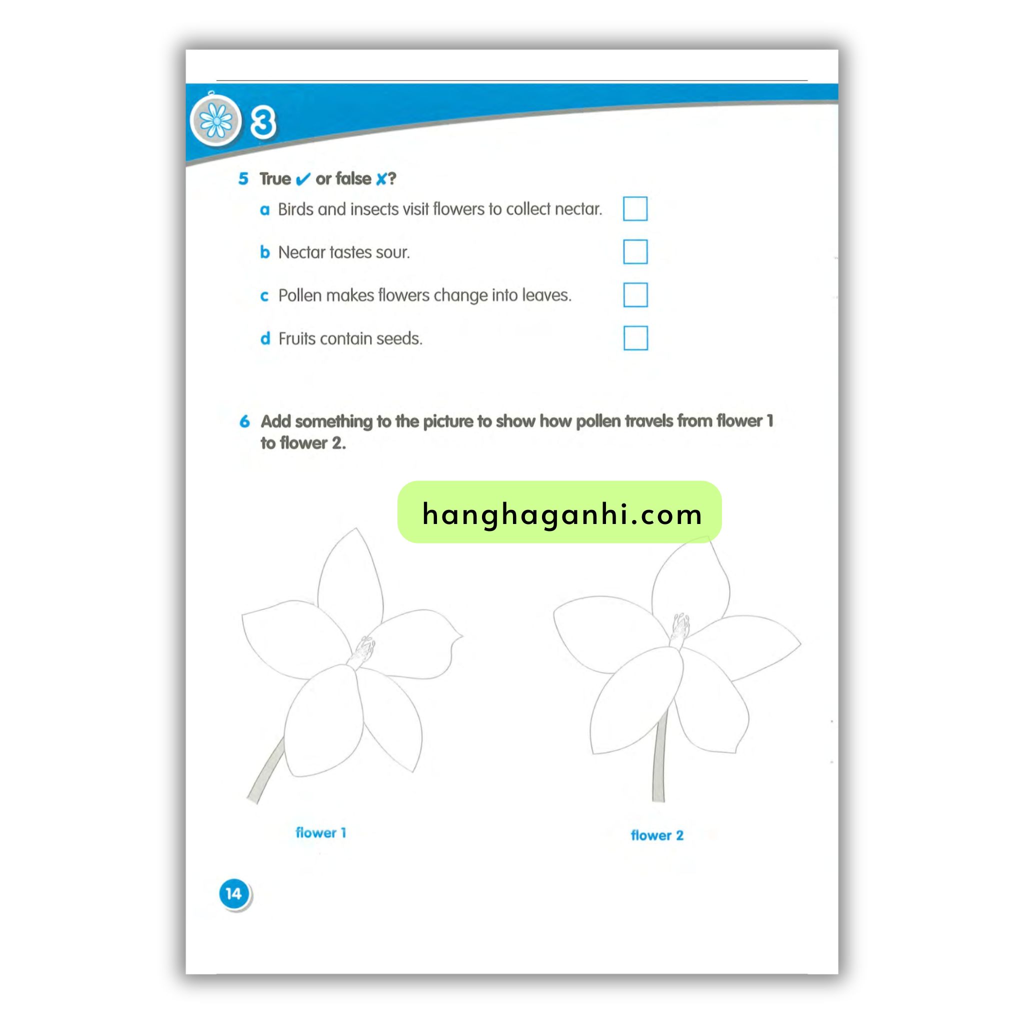 Macmillan Science 3 Workbook_thumbnail_19