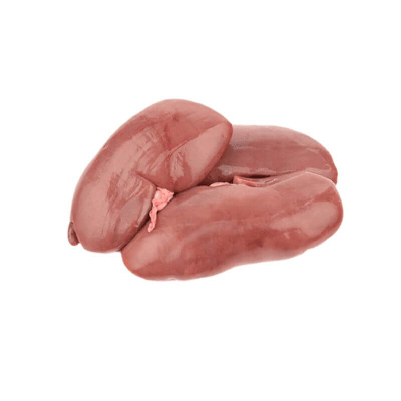 Pork Kidney