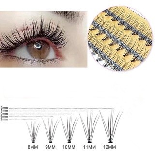 Mi chùm hồng_thumbnail_2