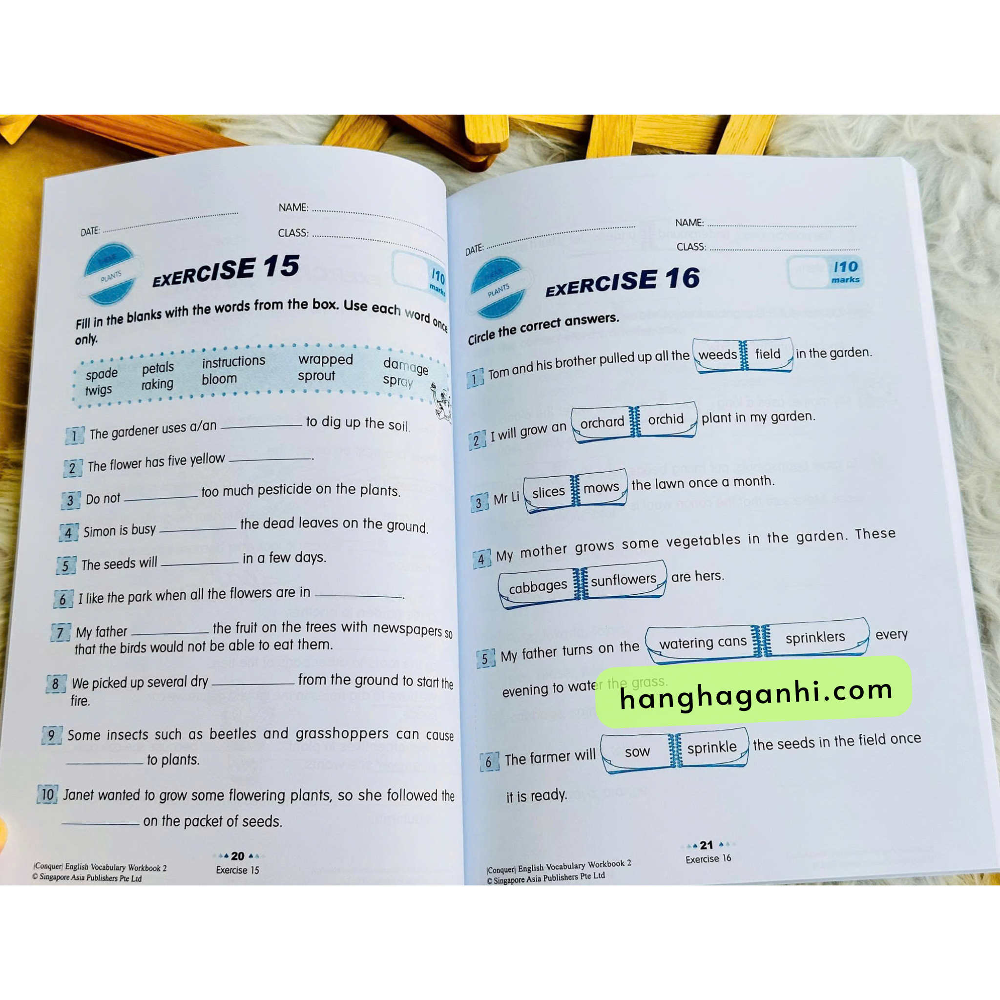 Conquer  English  Vocabulary Workbook - Bộ 6 Grade 1 - 6_thumbnail_8