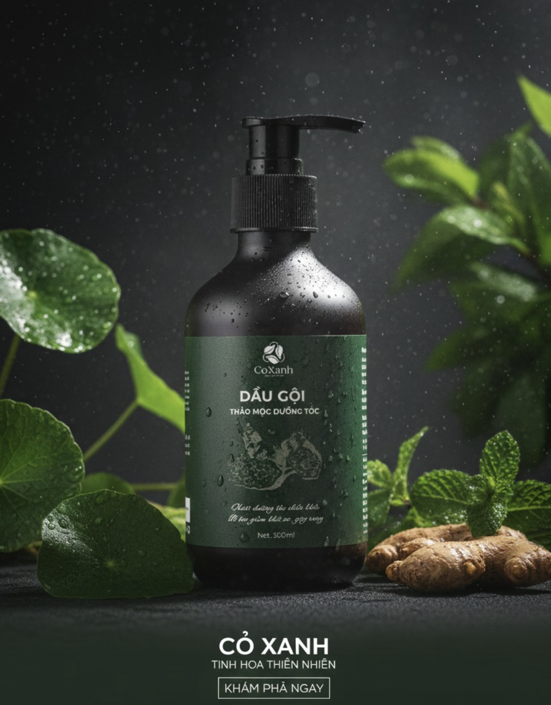 Dầu Gội Thảo Mộc Dưỡng Tóc