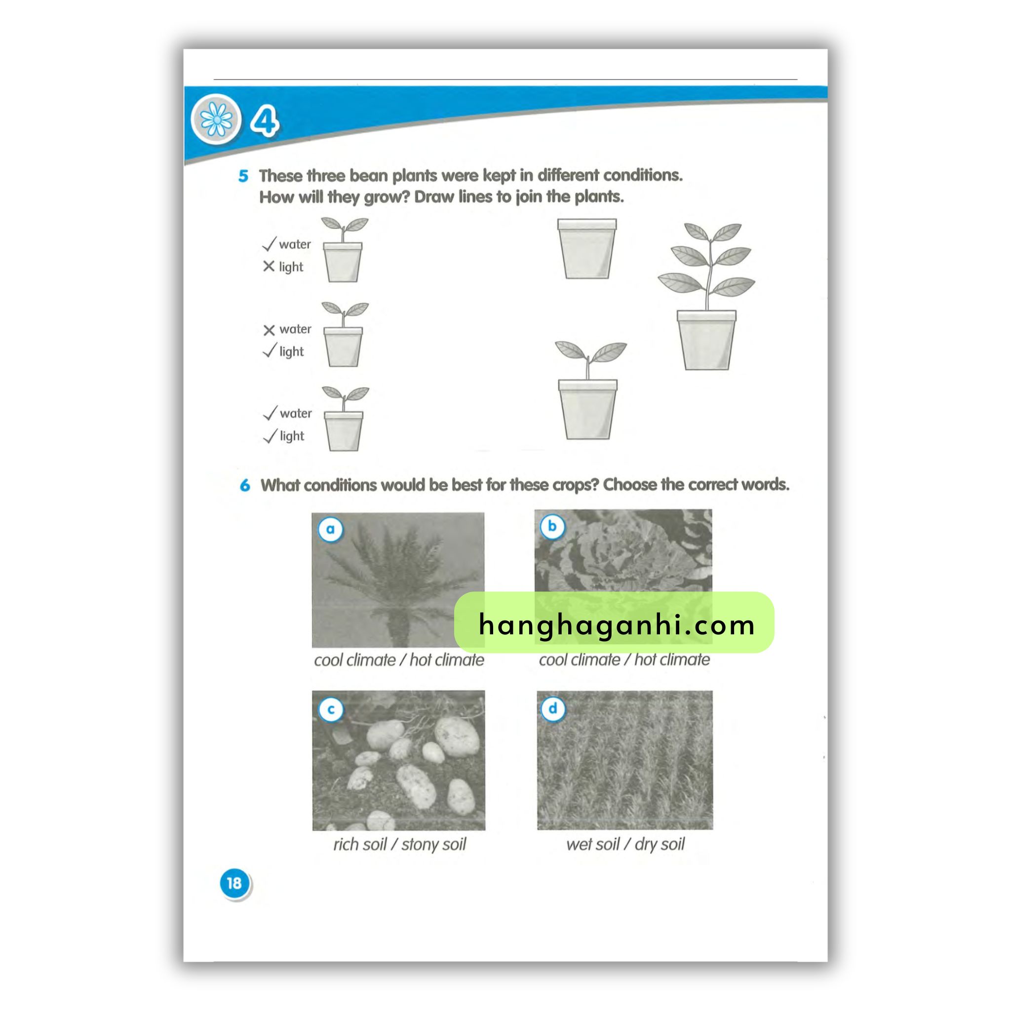 Macmillan Science 3 Workbook_thumbnail_10