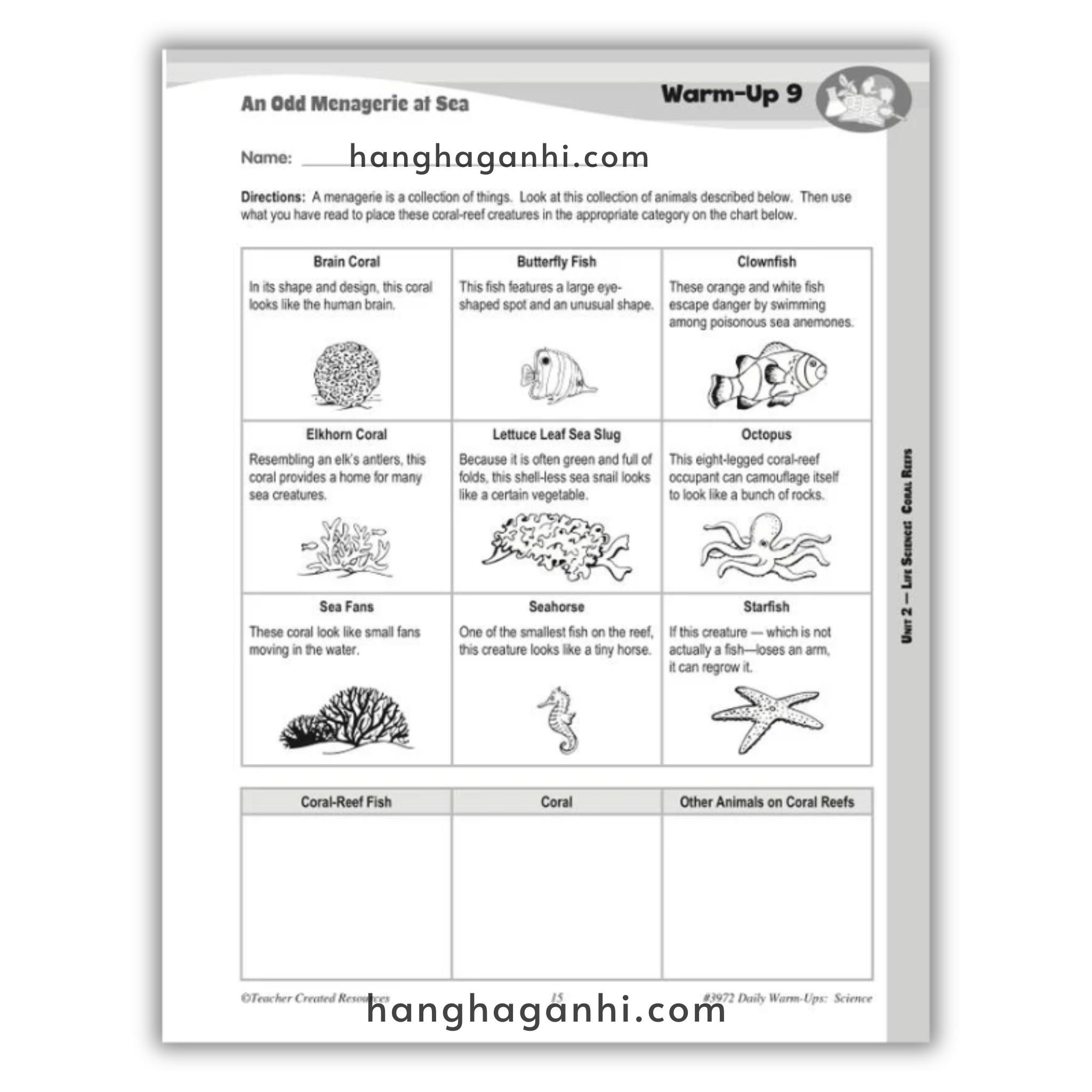 Bộ sách DAILY WARM-UP Science – 5 cuốn_thumbnail_3