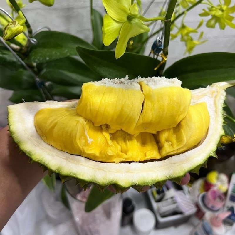 Sầu Riêng MusangKing_thumbnail_2