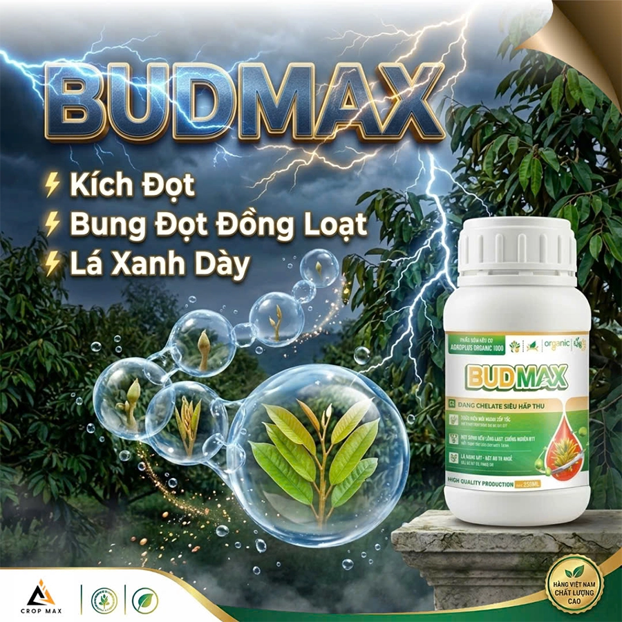 BUDMAX – Siêu hấp thu, bật rễ mạnh, cây xanh bền_thumbnail_3