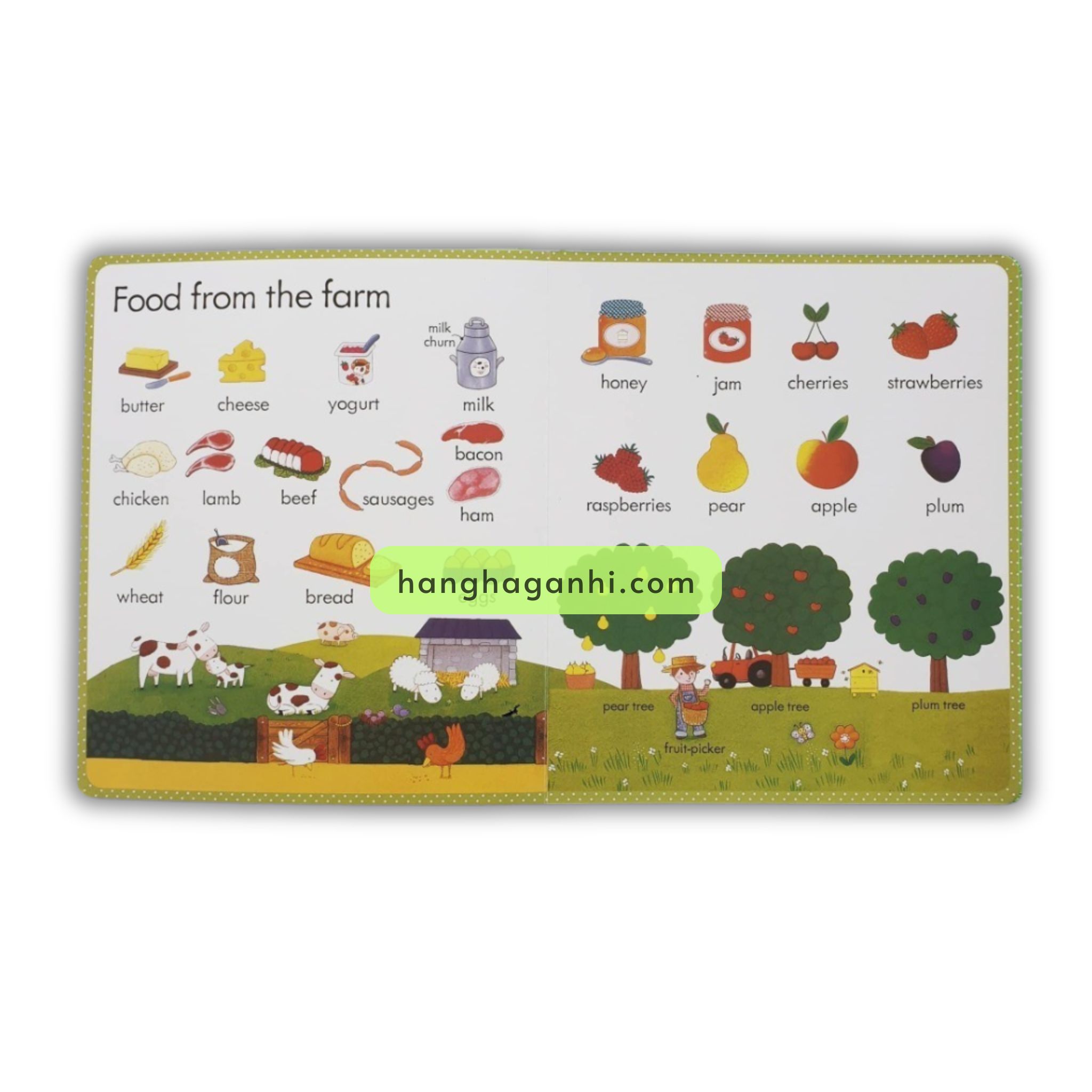 Usborne My First Word Book – Trọn Bộ 5 cuốn ( kèm Audio )_thumbnail_7