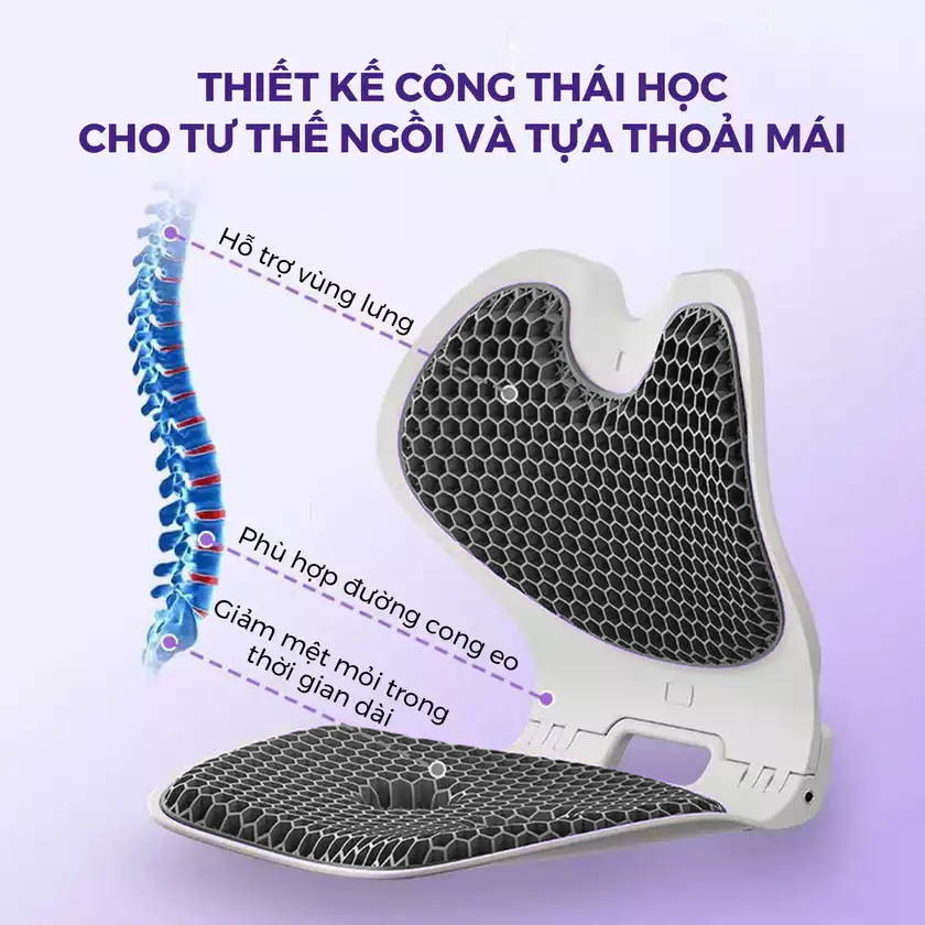 Ghế Chỉnh Dáng EGO HABANA_thumbnail_5