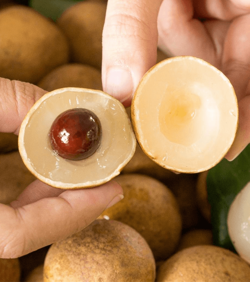 Nhãn Lồng H/Y_thumbnail_3