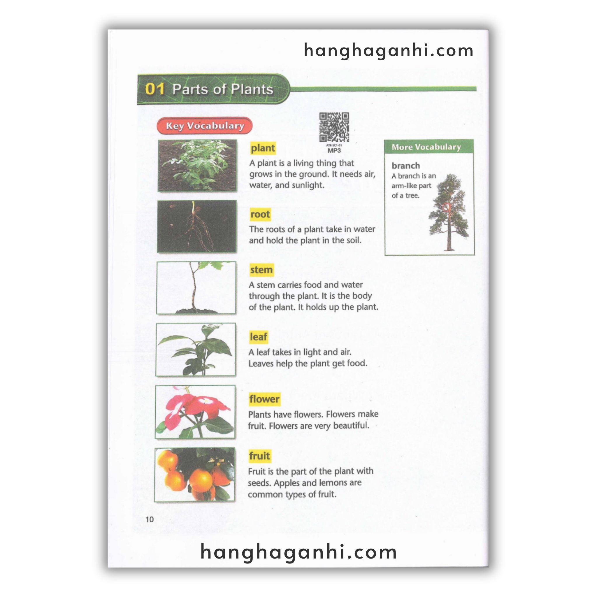 American Text Book Reading – Trọn Bộ 4 Grade 8 cuốn ( Kèm File nghe và Video)_thumbnail_6