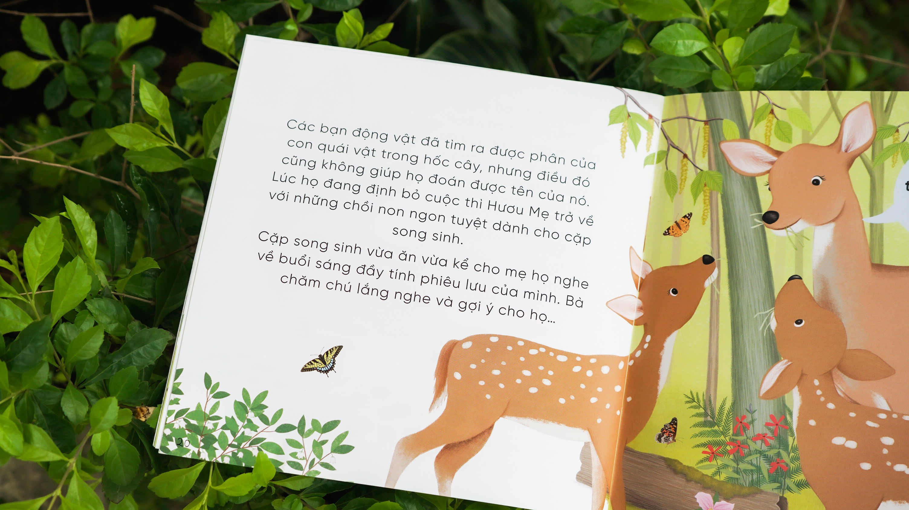 Combo 4c những bài học nhỏ từ rừng xanh_thumbnail_8