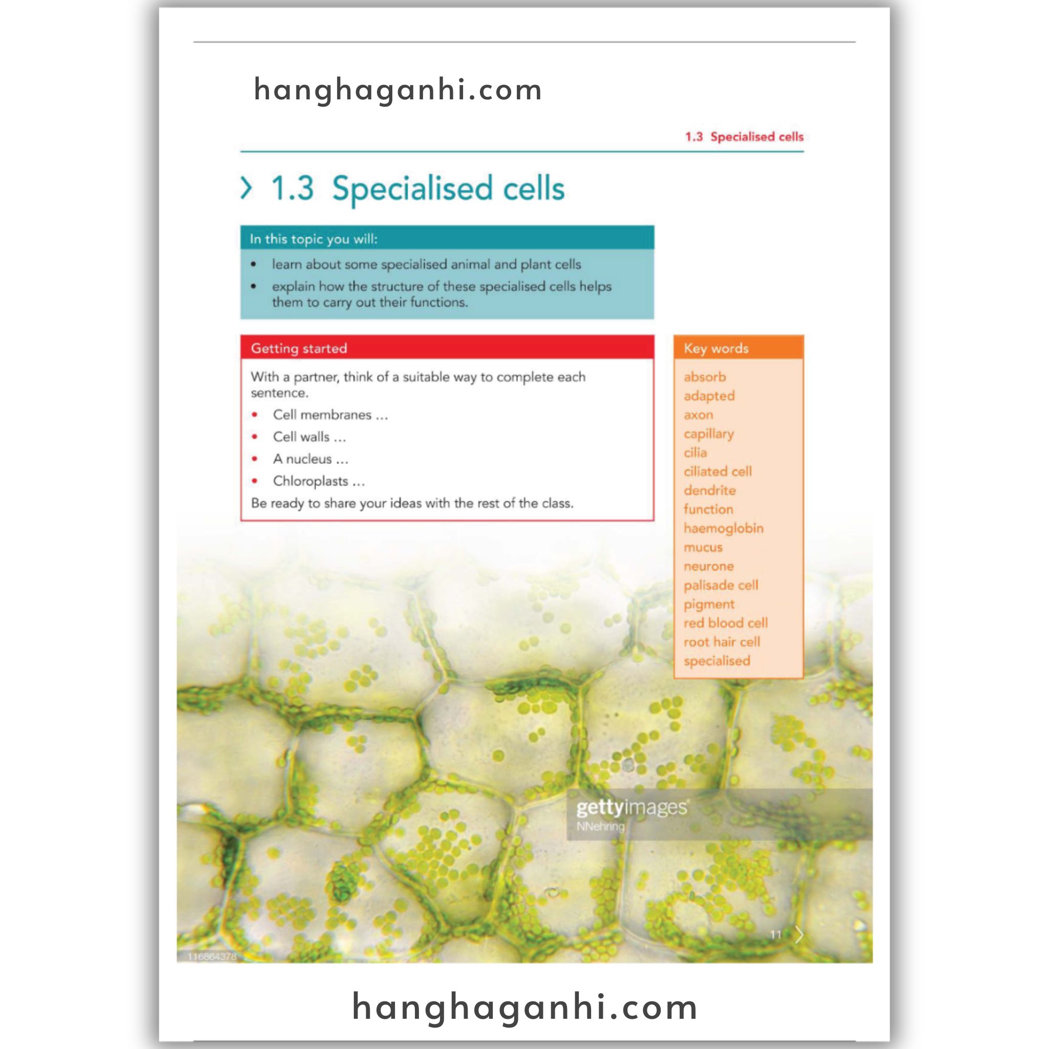 Cambridge Level 7 Lower Seconday Science Learner’s Book and Workbook 2nd Edition 2021_thumbnail_7