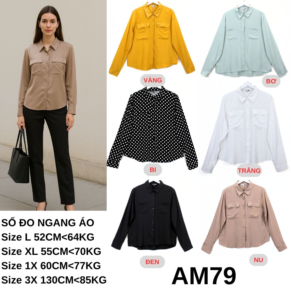 AM79- Sơ mi FW