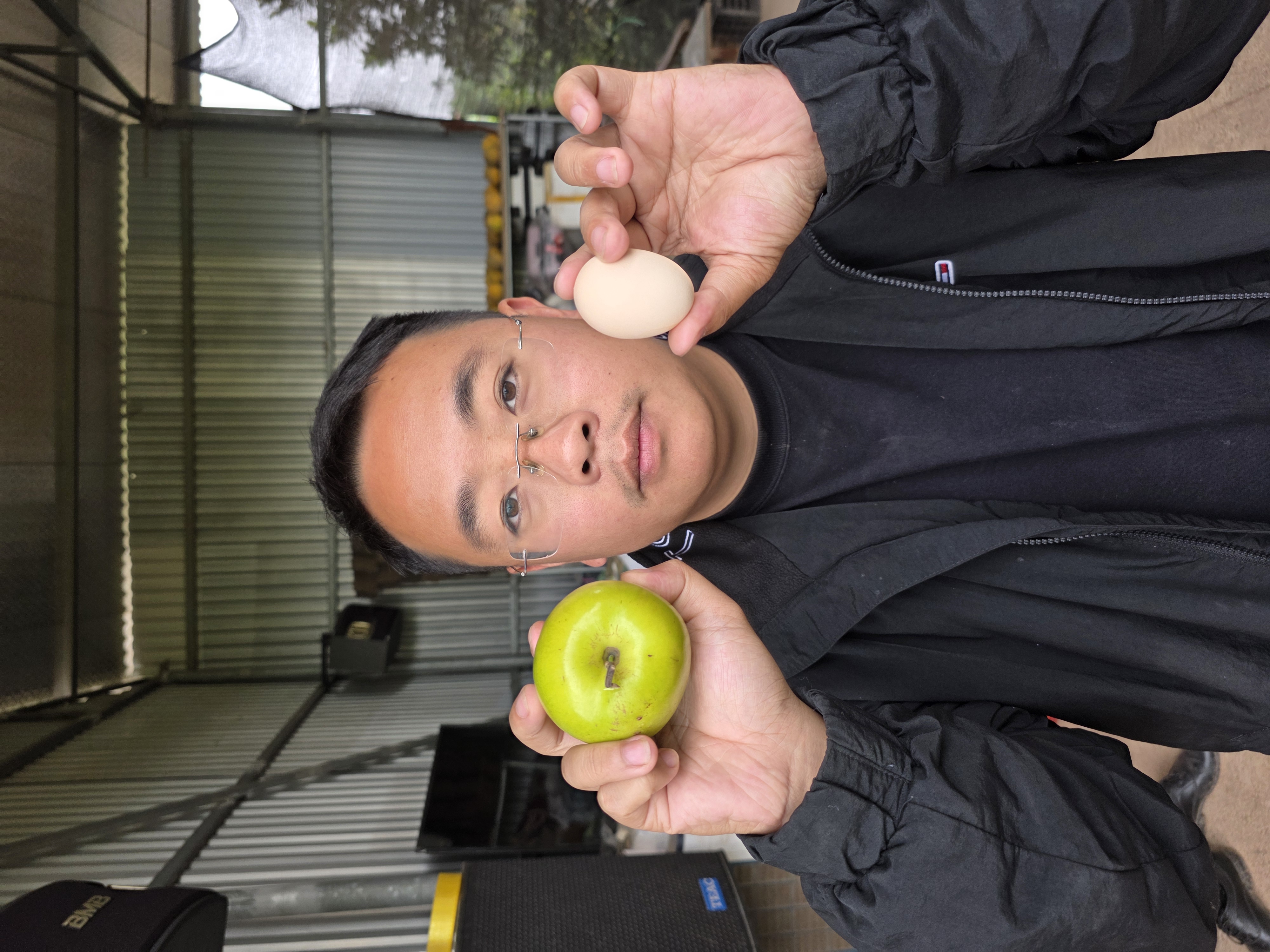 Táo vua tuyết 16 ghép cành cao 30-40cm TVT-01 CALATA_thumbnail_1