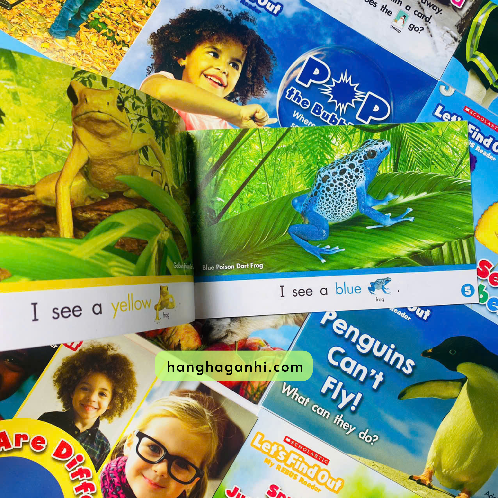 Let’s Find Out – My REBUS Reader_thumbnail_7