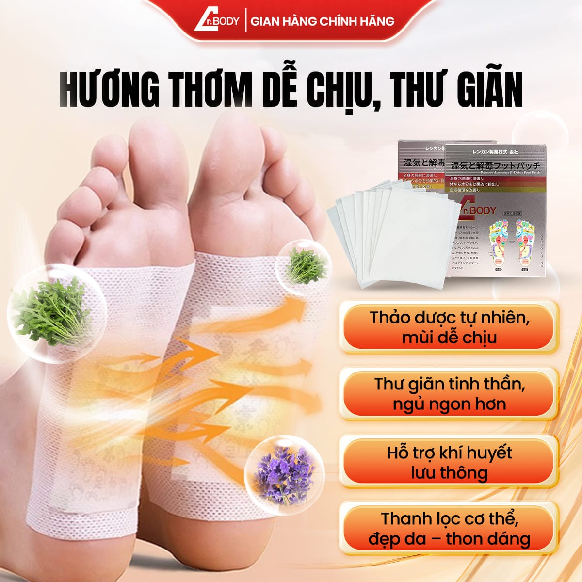 [1 HỘP] – MIẾNG DÁN CHÂN THẢI ĐỘC DR.BODY HỖ TRỢ THANH LỌC CƠ THỂ, GIẢM MỆT MỎI, NGỦ NGON SÂU GIẤC_thumbnail_3