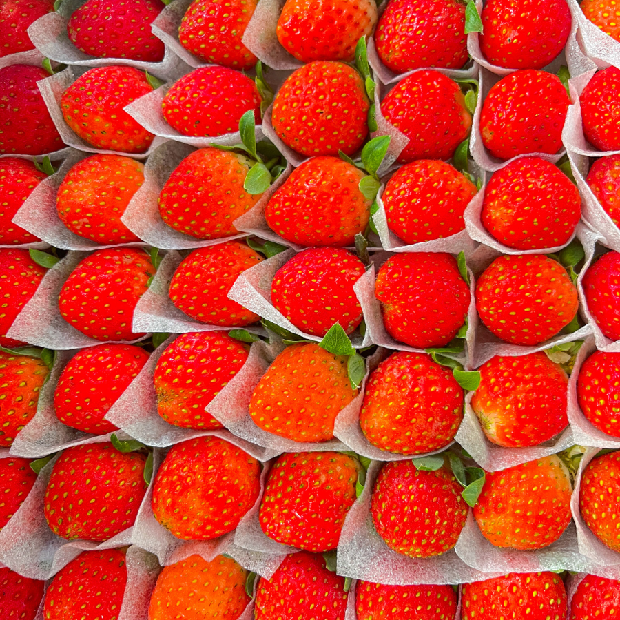 Dâu Nhật Hana_thumbnail_1