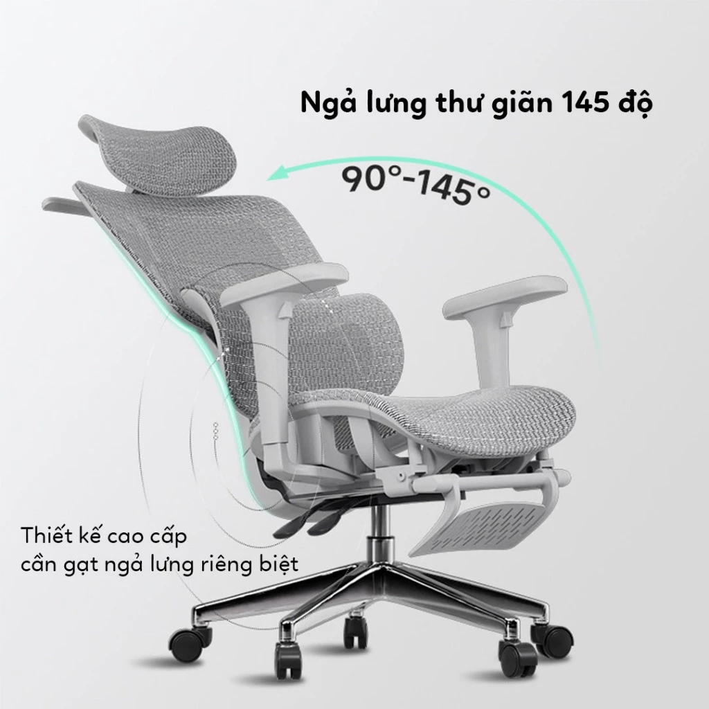 Ghế Công Thái Học Là Gì? Bí Kíp Chọn Ghế Chuẩn Cho Dân Ngồi Nhiều