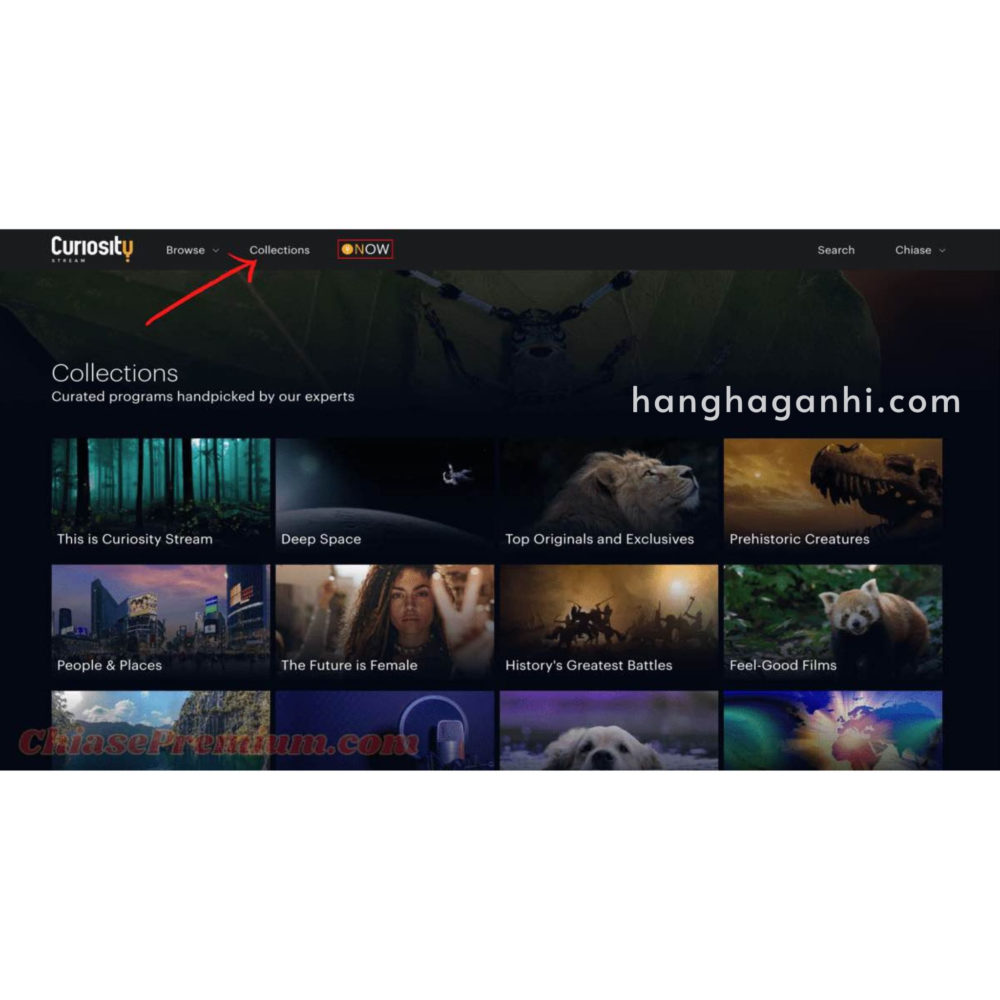 Tài Khoản Curiosity stream 1 năm giá tốt_thumbnail_1