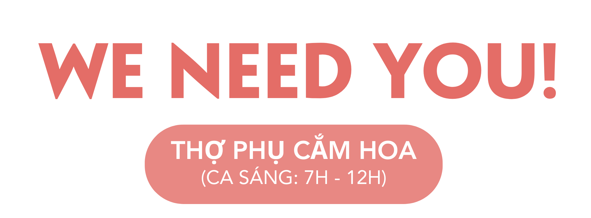 Tuyển dụng Florist-Trainee (Part-time: Ca Sáng 7h-12h) Tháng 10/2025