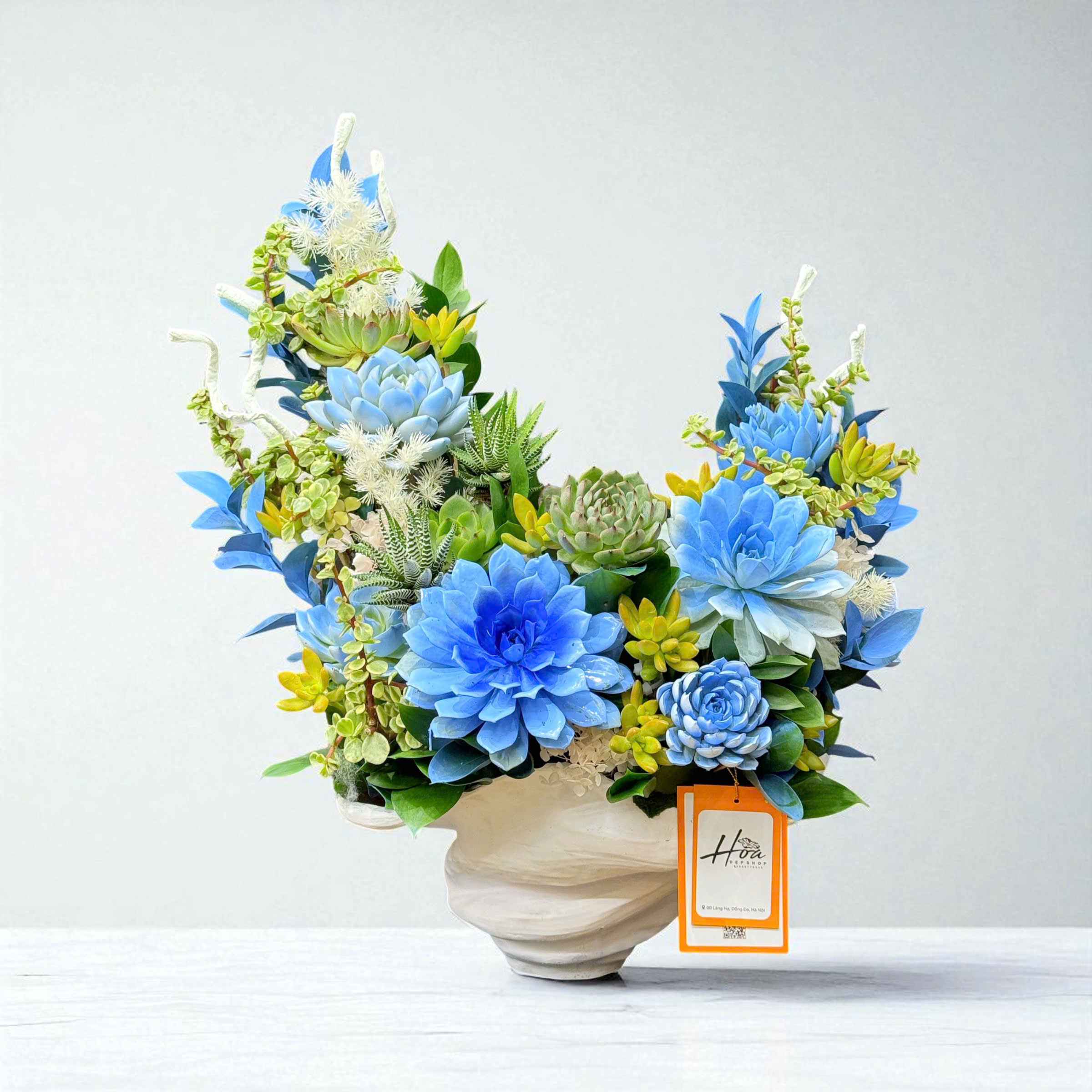 Bình hoa TV đặc biệt