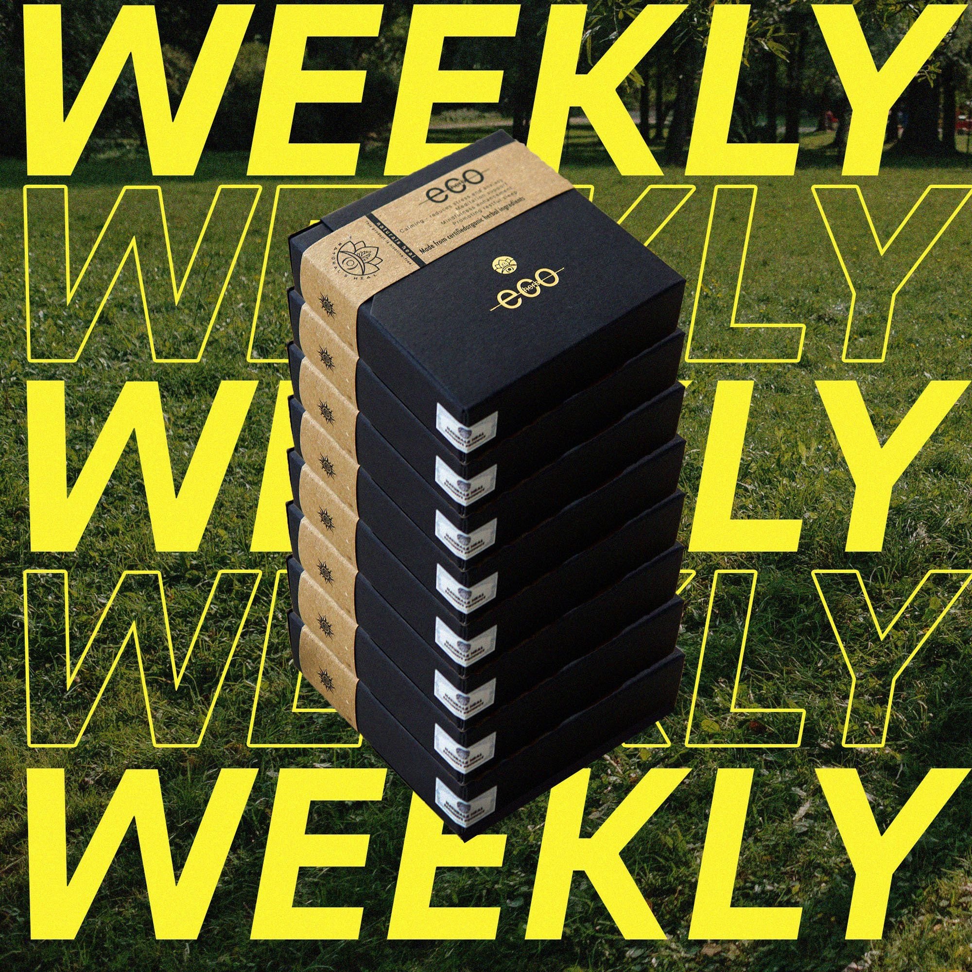 EcoBox Weekly - Eco Herb - Fresh Herbs Everyweek | Natural's Heal