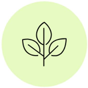icon-leaf