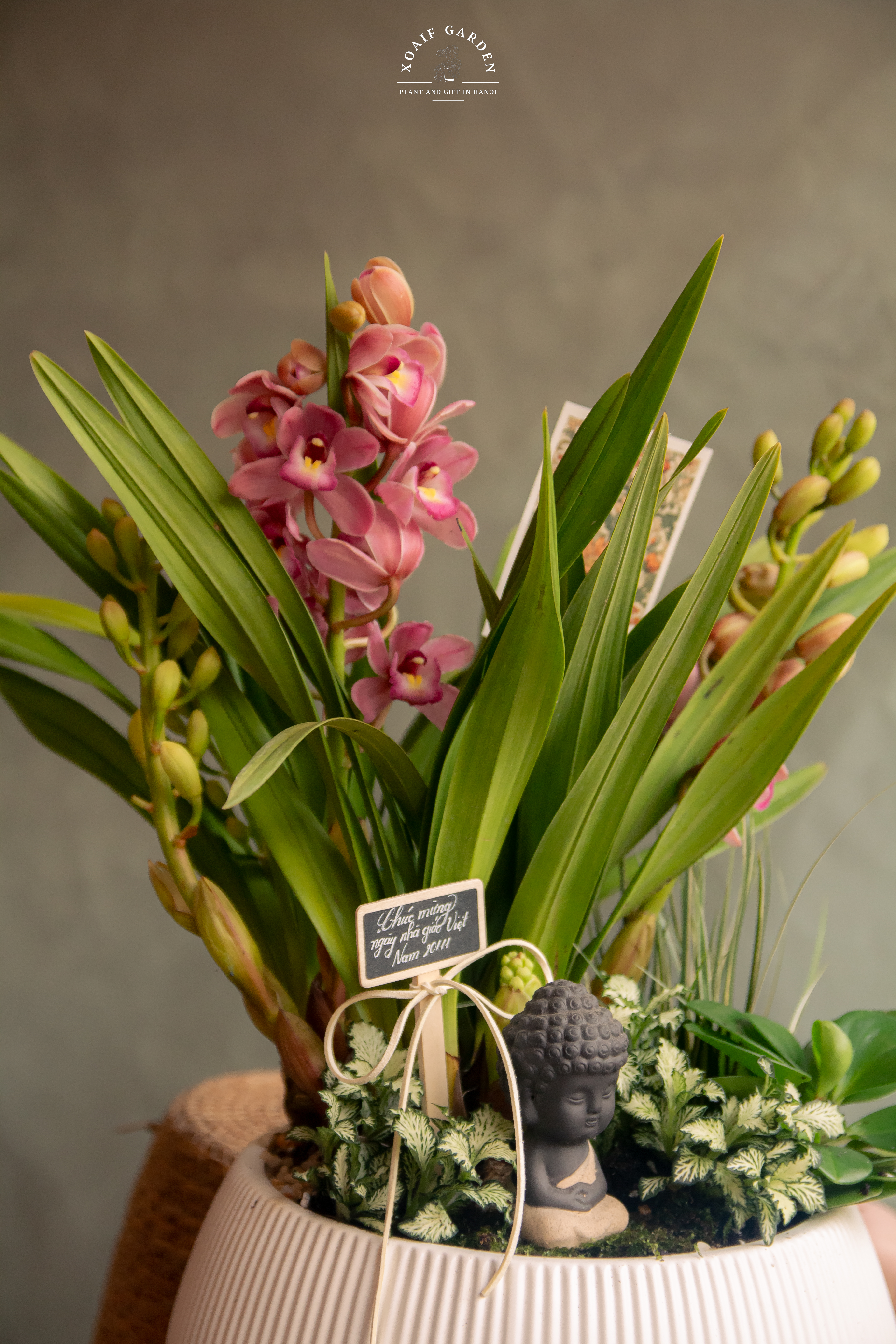 ĐỊA LAN MIX PHONG THỦY CHẬU SÓNG CAO CẤP