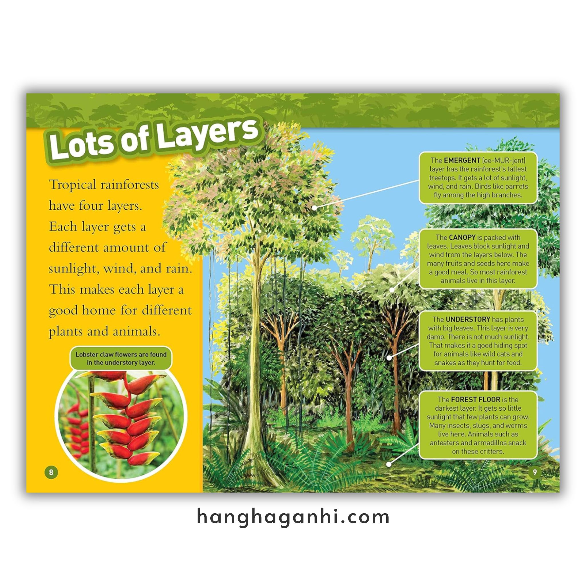 Bộ 41 cuốn National Geographic Kids level 2 - sách Khoa học tiếng Anh nhập khẩu, nguyên seal_thumbnail_12