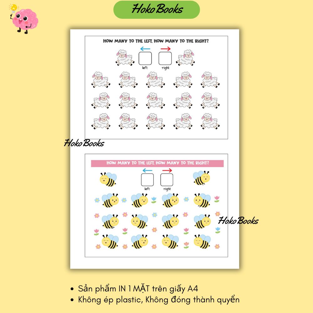 HL3 Bộ 23 tờ Học liệu định vị hướng IN A4 1 MẶT, KHÔNG ÉP PLASTIC, KHÔNG ĐÓNG QUYỂN_thumbnail_5