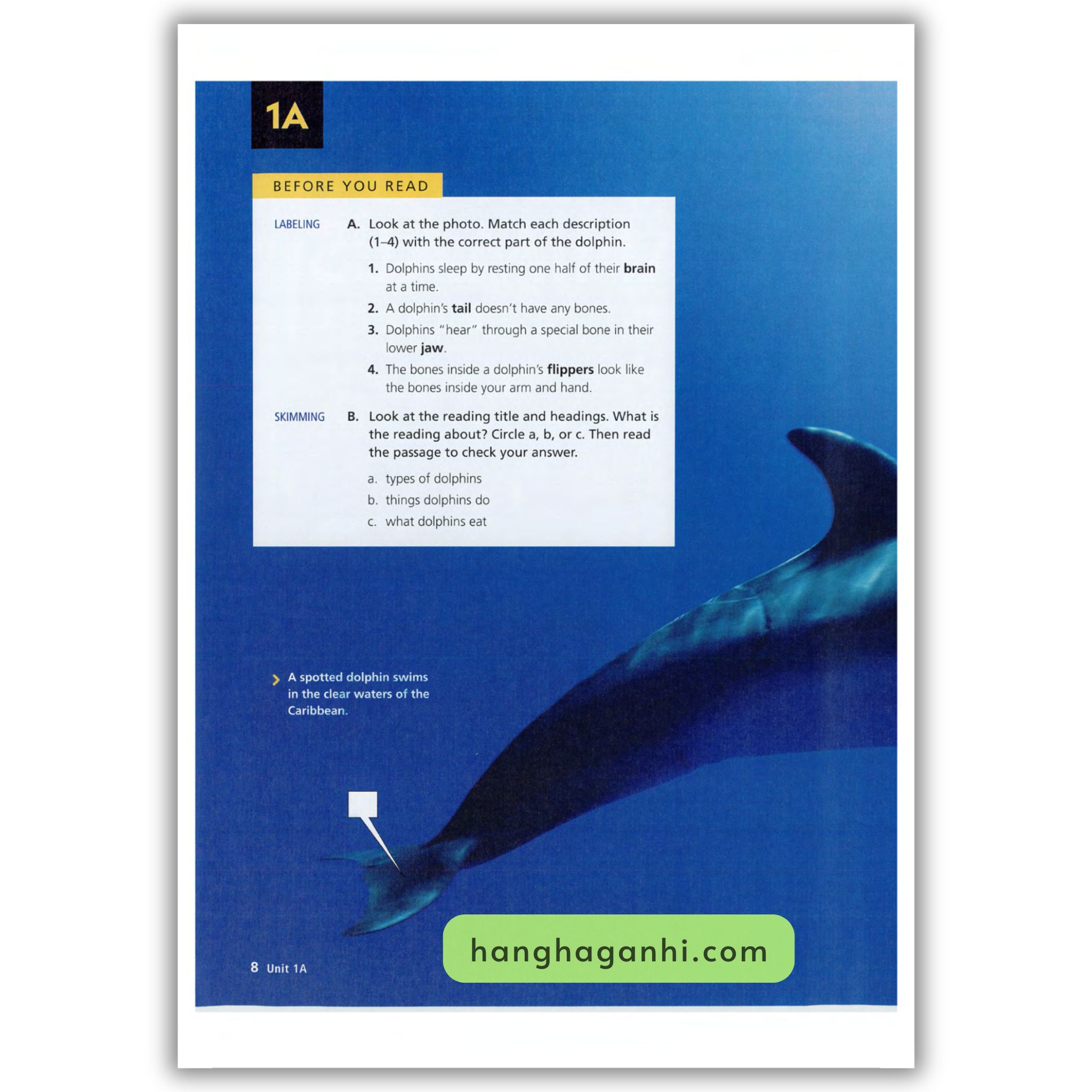 Reading Explorer 1 Student’s Book 3rd Edition_thumbnail_6