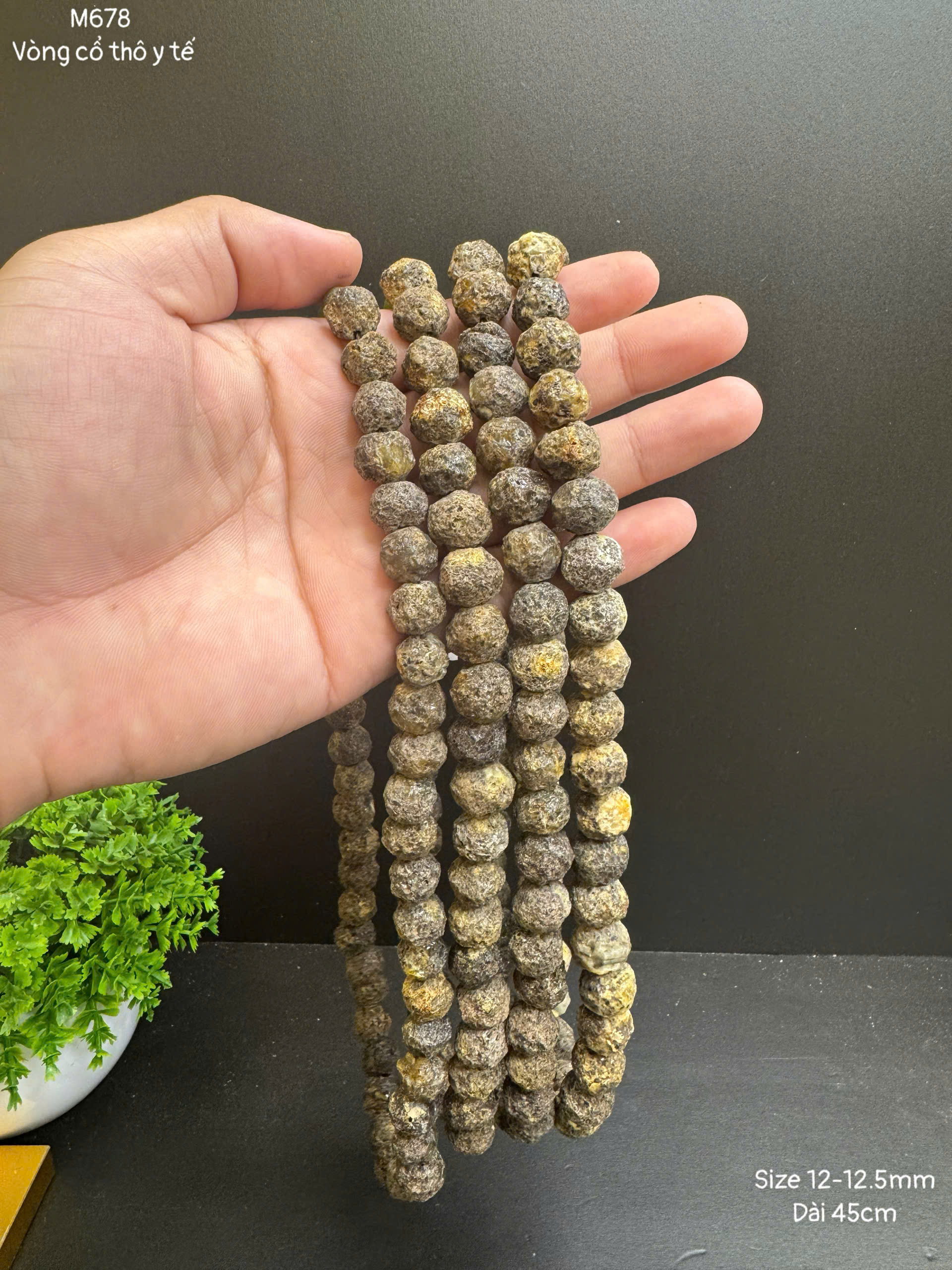 Vòng Cổ Thô Y Tế - M678