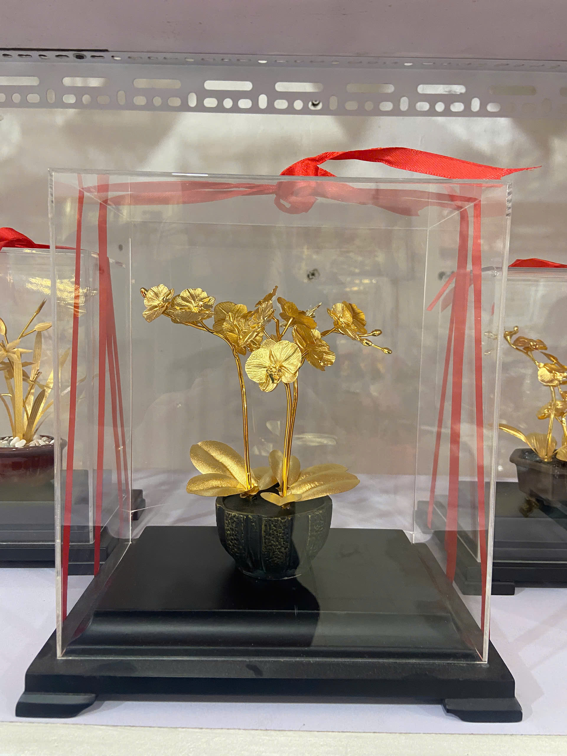 Qùa tặng hoa lan hô điệp dát vàng 24k Kt CAO 22 CM _thumbnail_3