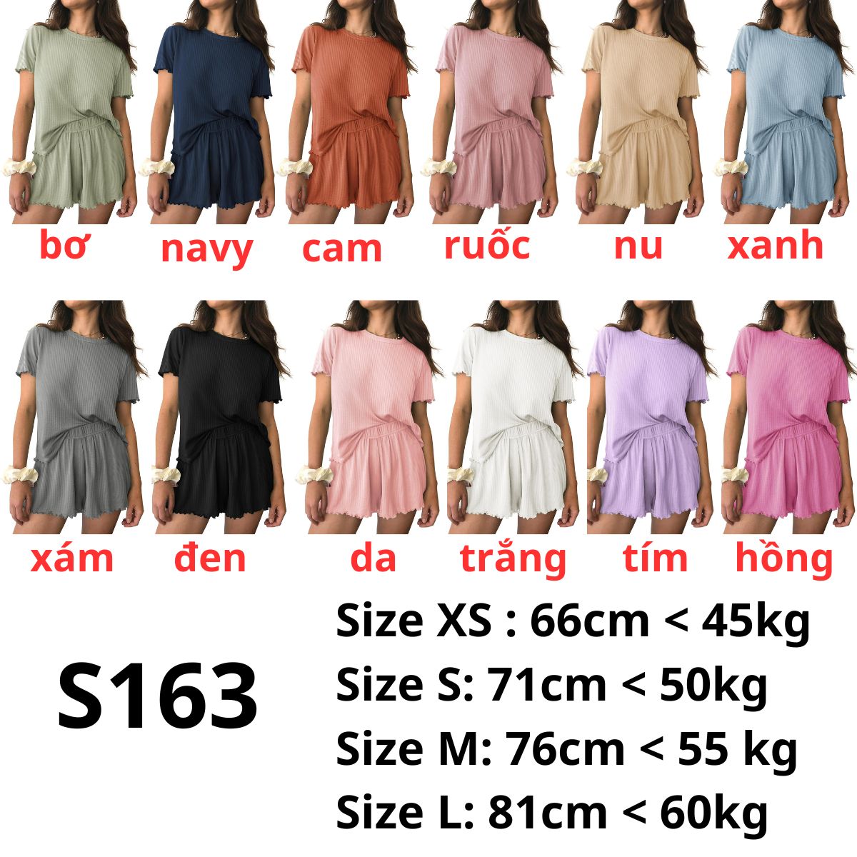 S163- Set bộ - nhà