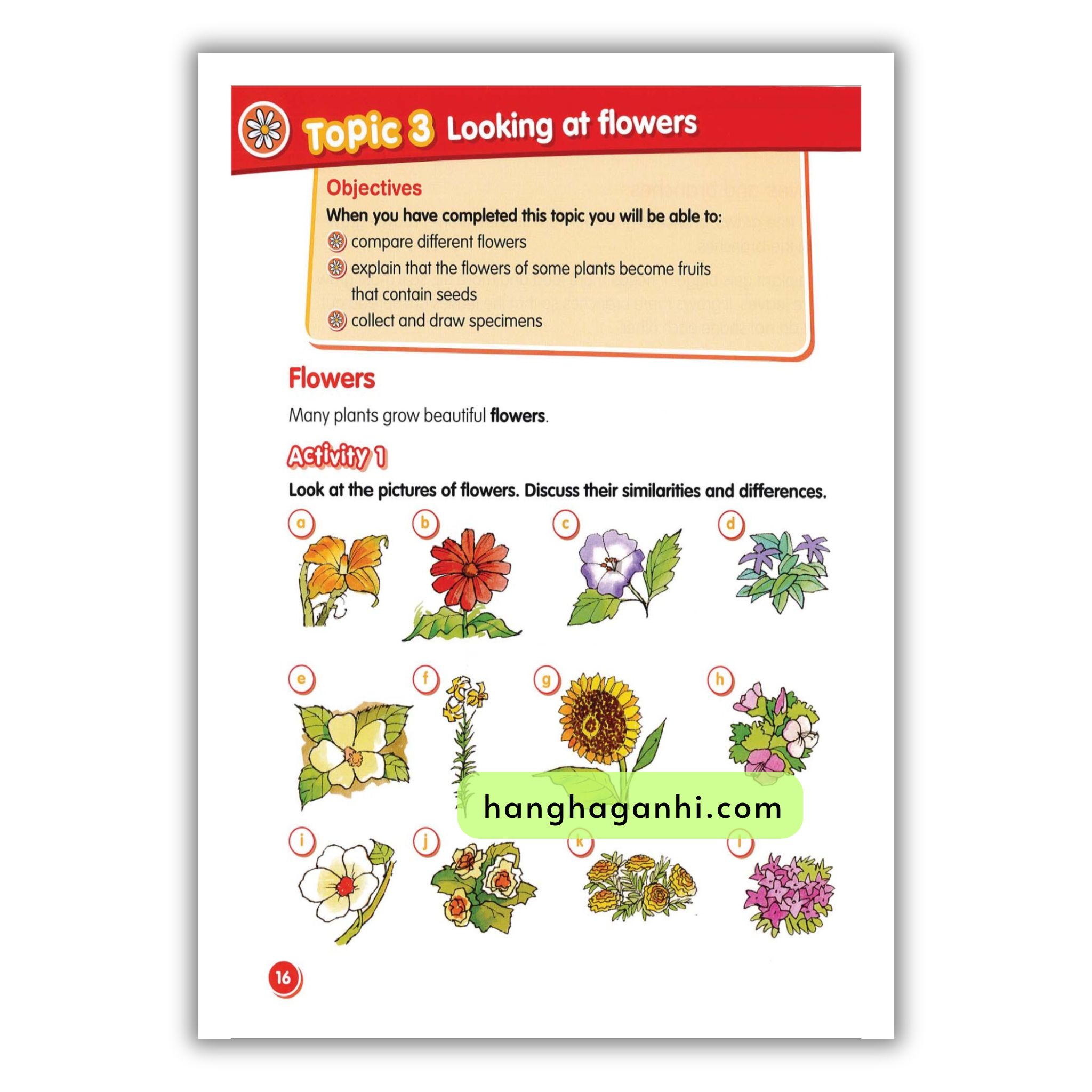 Macmillan Science 3 Pupil’s book_thumbnail_17