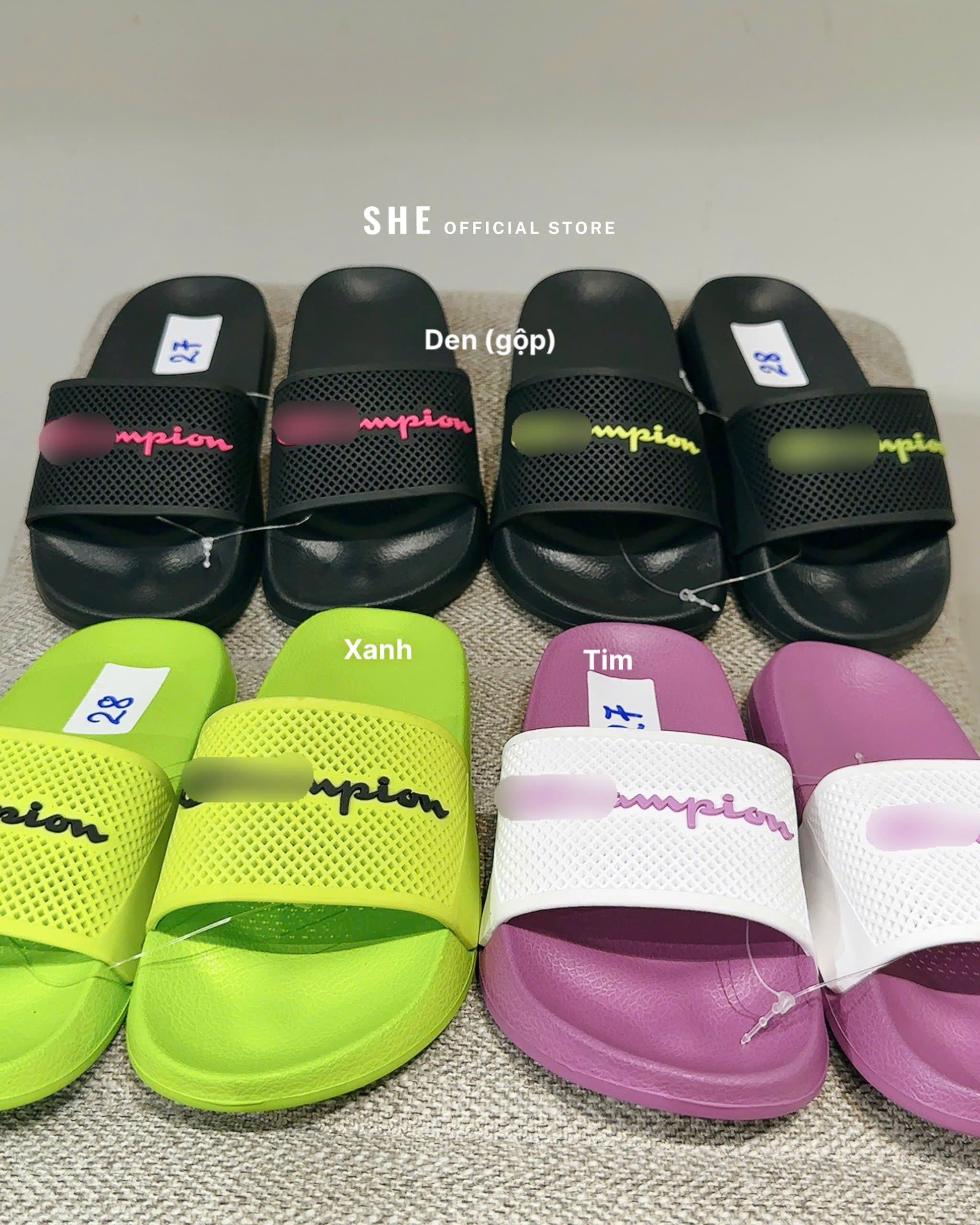 H495 DÉP CHAMPION_thumbnail_11