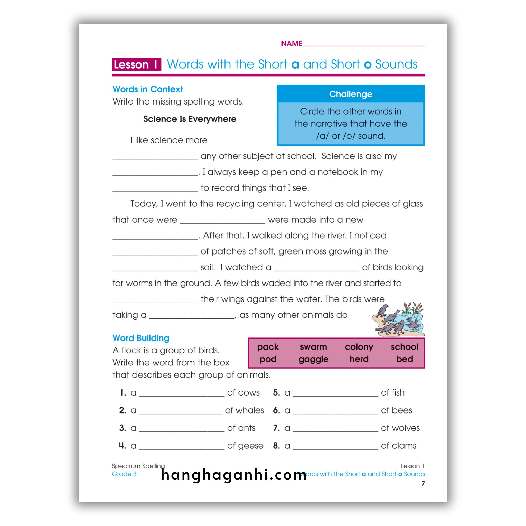 Sách Spectrum Spelling Workbook Grade 3_thumbnail_6