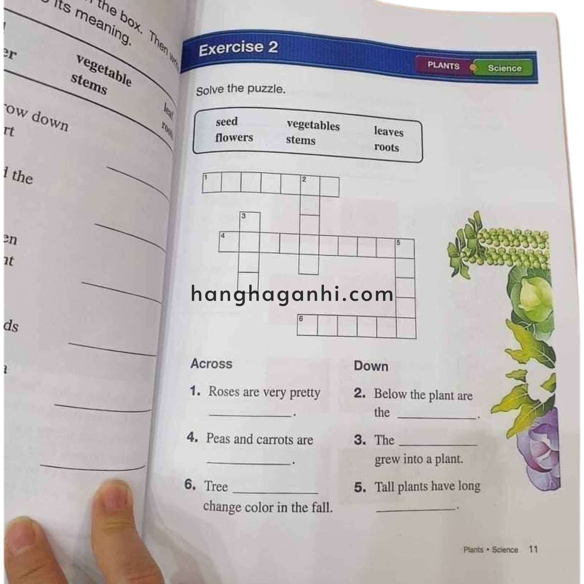 Reading For Vocabulary – Trọn Bộ 4 Cuốn Kèm Audio và MP3, Đáp Án_thumbnail_2