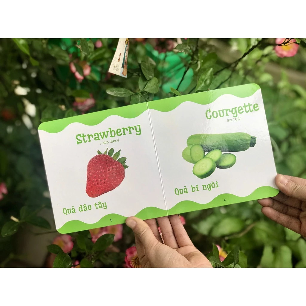 Combo 6c Từ điển bằng hình cho trẻ mầm non_thumbnail_5