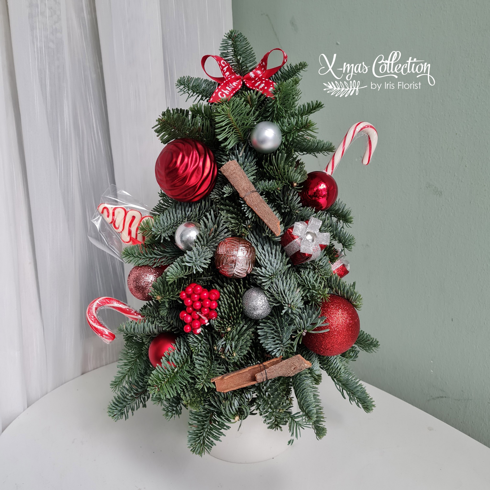 X-mas Tree - Size M (cao 45-50cm) - RED