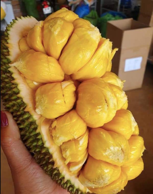 Mít Tố Nữ_thumbnail_3