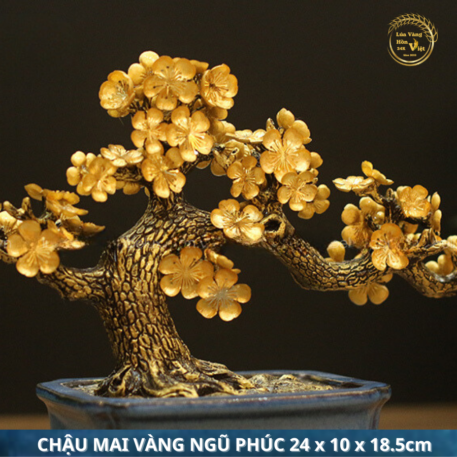 CHẬU MAI VÀNG NGŨ PHÚC 24x10x18.5cm_thumbnail_2