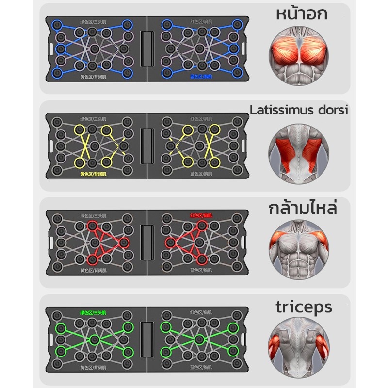 บอรด์วิดพื้นออกกำลังกาย_thumbnail_2