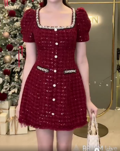 Đầm Chữ A Dạ Đính Cườm Cúc Đá