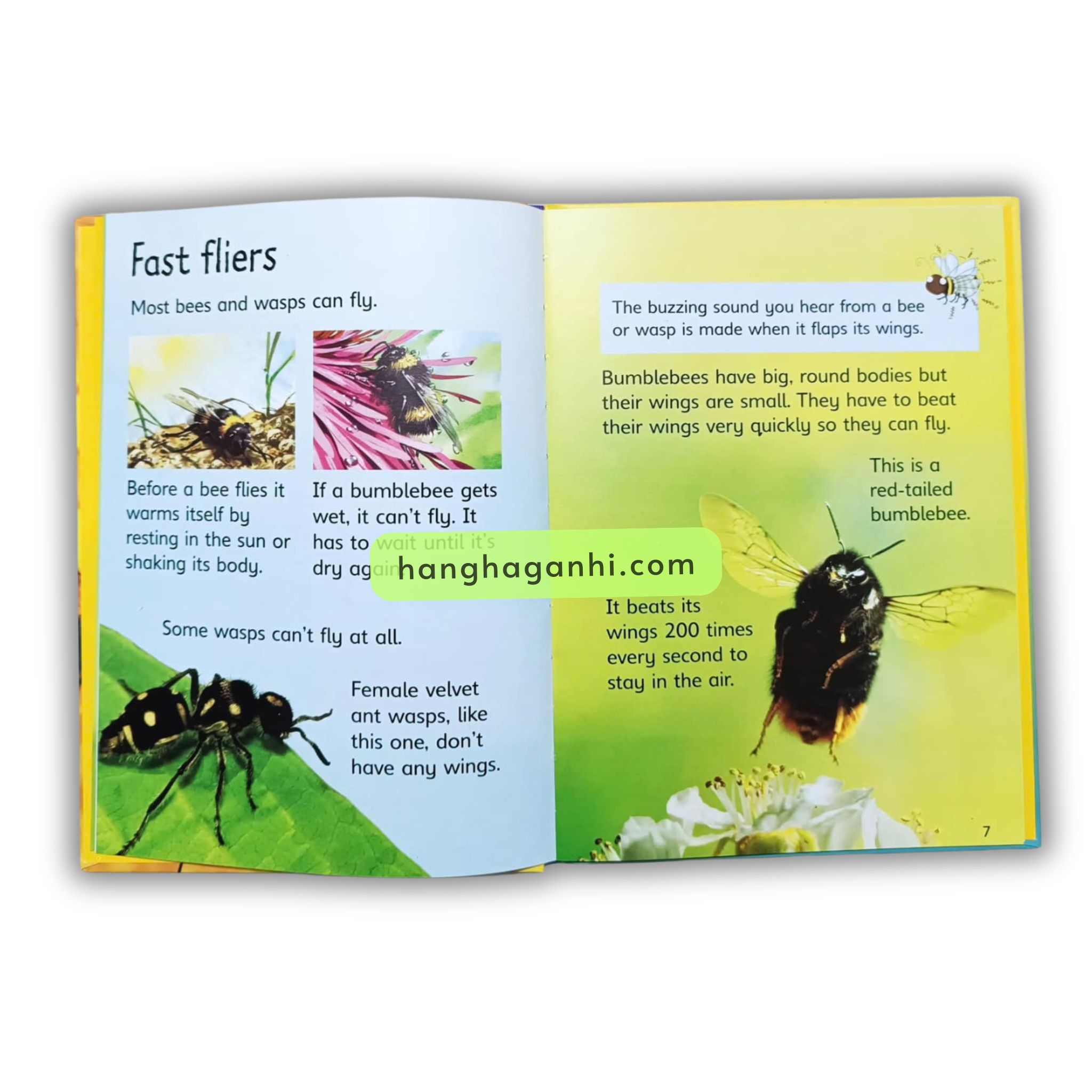 Bộ sách Usborne Beginners Nature Box Set Collection -10 cuốn_thumbnail_3