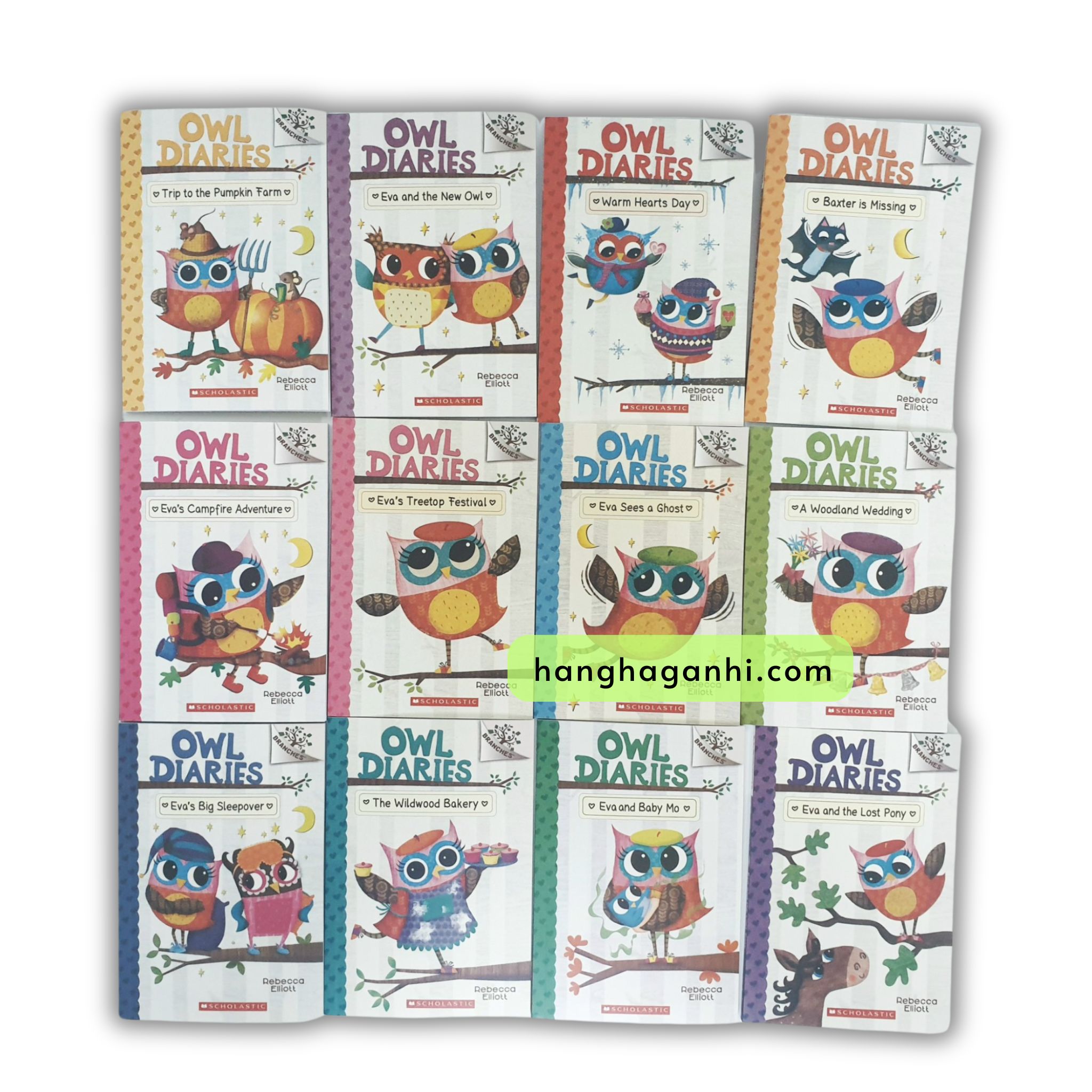 Bộ sách Nhật Kí Cú Nhỏ – Owl Diaries -19 cuốn kèm Audio (Sách nhập khẩu)_thumbnail_0