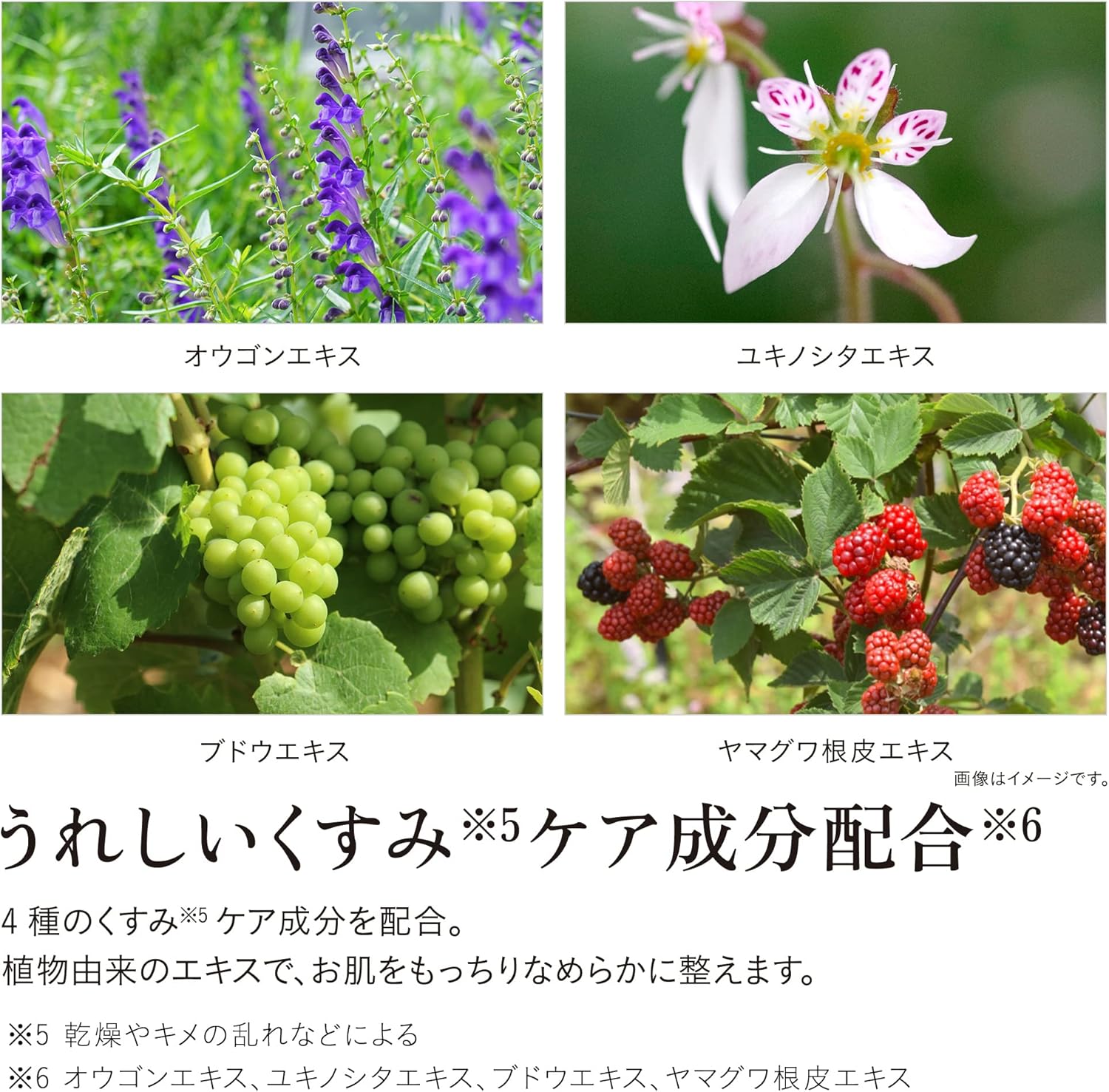 Sữa dưỡng trắng vùng kín Iroha_thumbnail_4