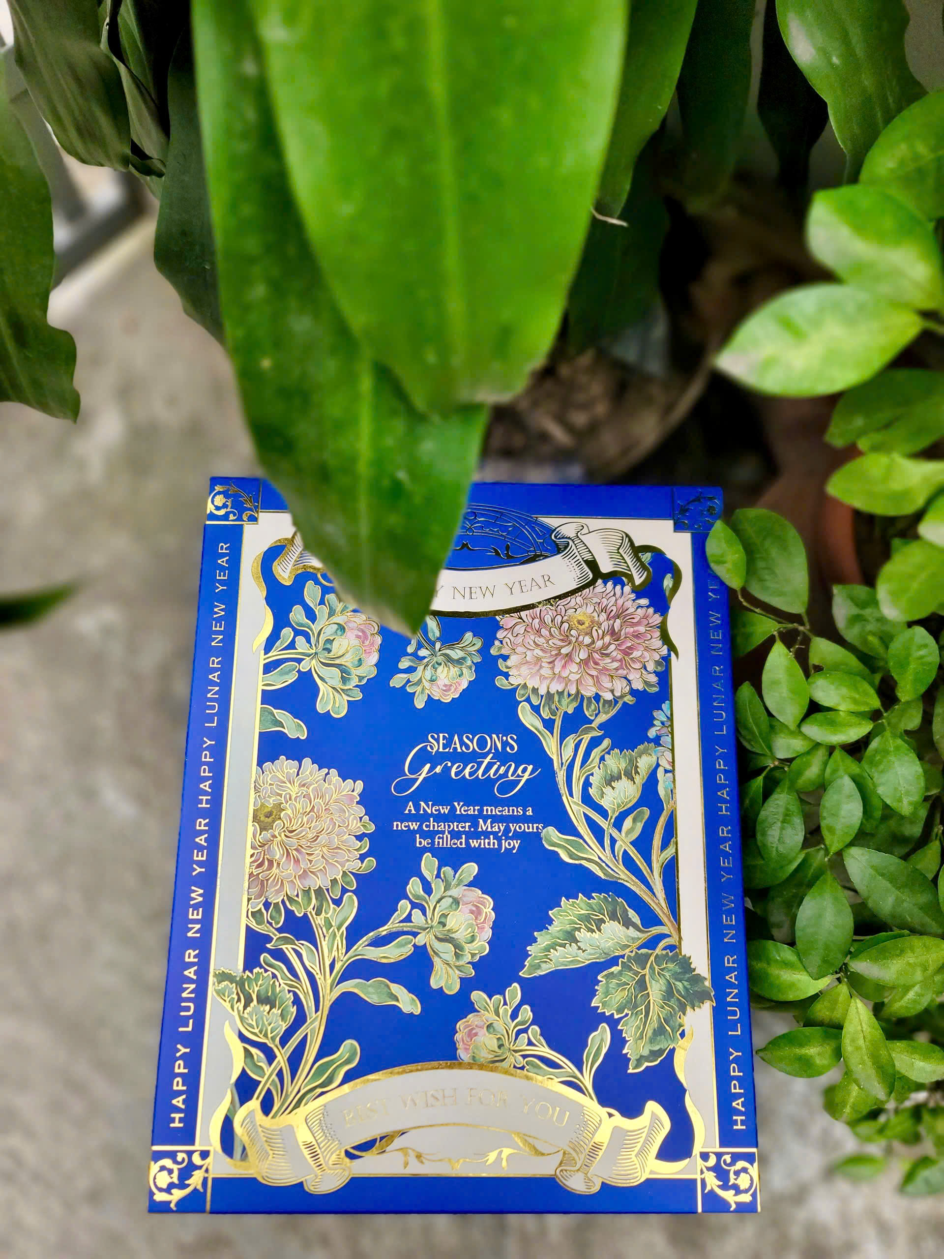 Set quà quốc dân